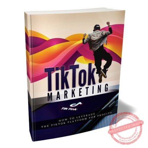 TikTok Marketing Success